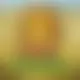 Zagraj Mega Moolah z Games Global w {"id":45,"name":"Tikitaka","design":{"logo":"tikitaka-logo.xZsy7u.svg","favicon":"tikitaka-favicon.HLs41I.png","banner_poker":"tikitaka-poker.zawDOY.webp","banner_mobile":"tikitaka-mobile.k8JoVl.webp","block_bg_color":"#161937","image_bg_color":"#152043","banner_bg_color":"#161938","block_text_color":"#ffffff","primary_bg_color":"#FFFFFF","banner_text_color":"#fff","footer_logos_type":"white","block_round_radius":"0","primary_text_color":"#18181b","button_round_radius":"0","banner_welcome_bonus":"tikitaka-welcome-bonus.6CS48v.webp","primary_button_bg_color":"#E63D28","primary_button_text_color":"#fff","secondary_button_bg_color":"#16A1DC","secondary_button_text_color":"#09090b"},"created_at":"2025-05-14T09:25:22.000000Z","updated_at":"2025-05-14T09:25:22.000000Z","deleted_at":null}