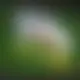 Zagraj Let It Ride z Playtech w {"id":45,"name":"Tikitaka","design":{"logo":"tikitaka-logo.xZsy7u.svg","favicon":"tikitaka-favicon.HLs41I.png","banner_poker":"tikitaka-poker.zawDOY.webp","banner_mobile":"tikitaka-mobile.k8JoVl.webp","block_bg_color":"#161937","image_bg_color":"#152043","banner_bg_color":"#161938","block_text_color":"#ffffff","primary_bg_color":"#FFFFFF","banner_text_color":"#fff","footer_logos_type":"white","block_round_radius":"0","primary_text_color":"#18181b","button_round_radius":"0","banner_welcome_bonus":"tikitaka-welcome-bonus.6CS48v.webp","primary_button_bg_color":"#E63D28","primary_button_text_color":"#fff","secondary_button_bg_color":"#16A1DC","secondary_button_text_color":"#09090b"},"created_at":"2025-05-14T09:25:22.000000Z","updated_at":"2025-05-14T09:25:22.000000Z","deleted_at":null}